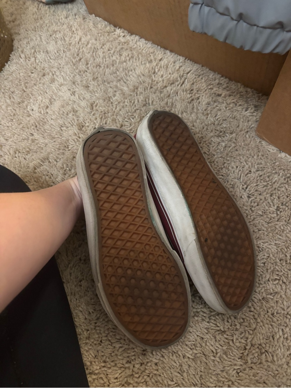 Vans - Picture 5 of 6